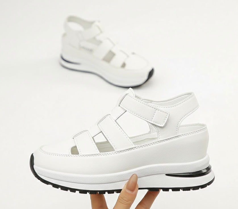 White / 42