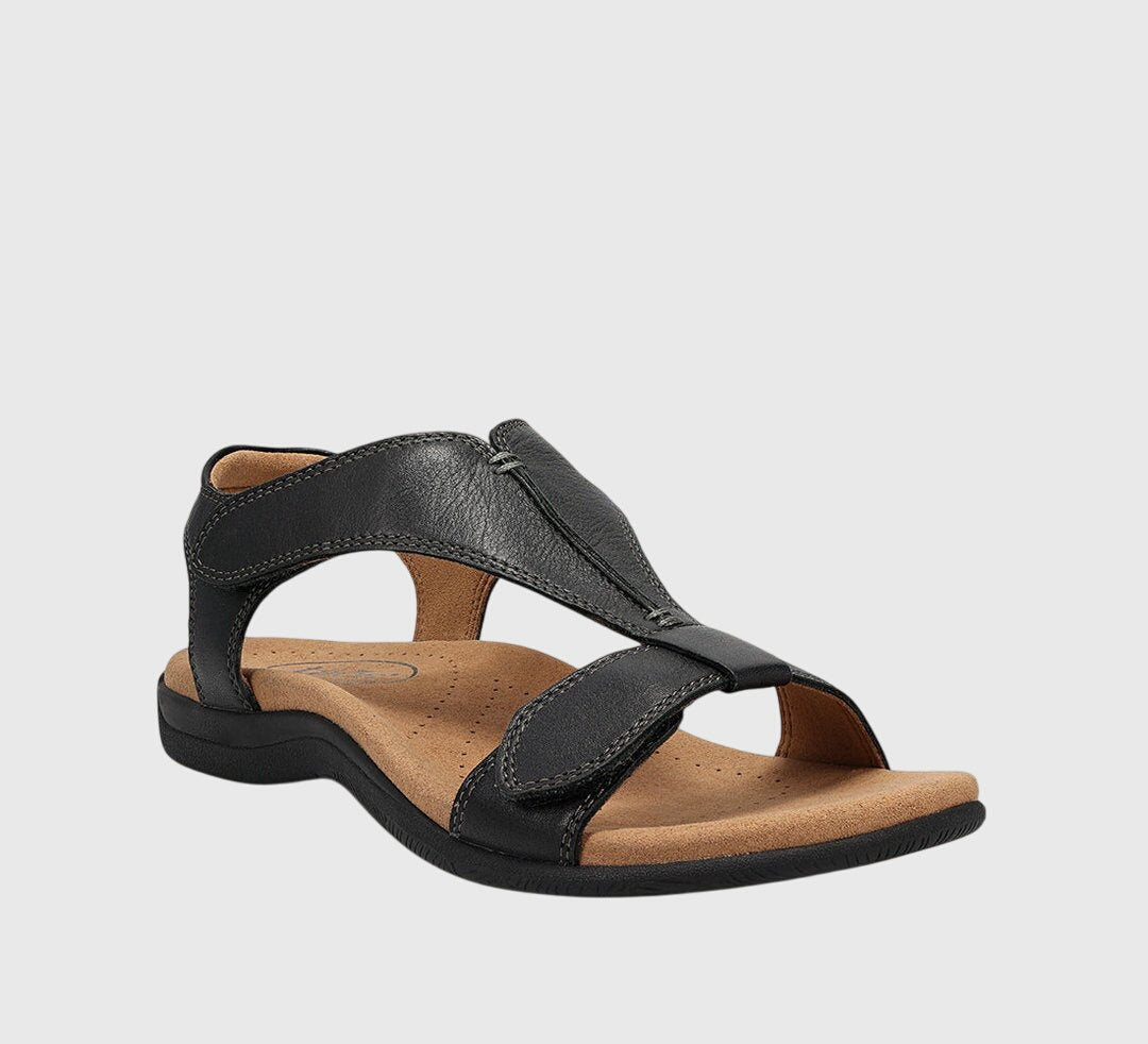 Black / 43